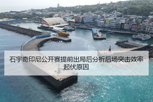 石宇奇印尼公开赛提前出局后分析后场突击效率起伏原因