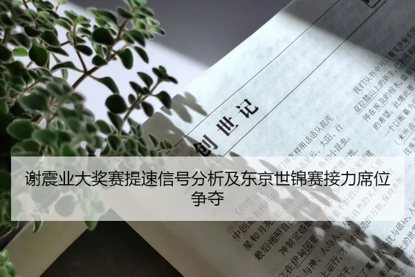 谢震业大奖赛提速信号分析及东京世锦赛接力席位争夺