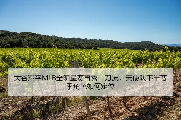 大谷翔平MLB全明星赛再秀二刀流，天使队下半赛季角色如何定位