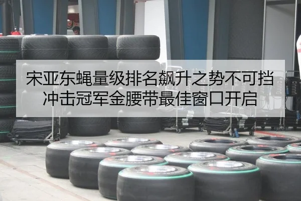 song-ya-dong-ying-liang-ji-pai-ming-biao-sheng-zhi-shi-bu-ke-dang-chong-ji-guan-jun-jin-yao-dai-zui-jia-chuang-kou-kai-3-203.jpg
