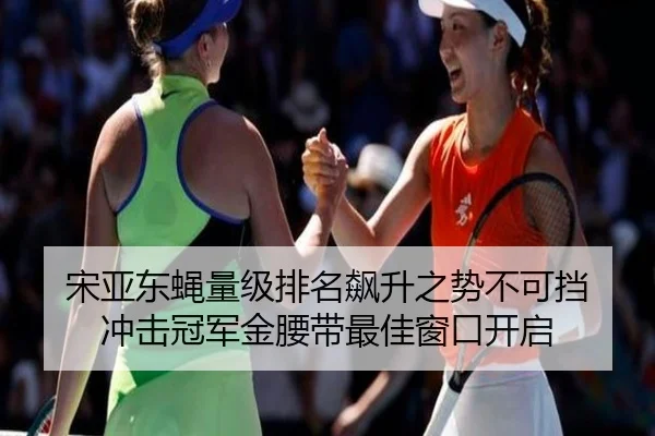 宋亚东蝇量级排名飙升之势不可挡 冲击冠军金腰带最佳窗口开启