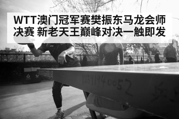 WTT澳门冠军赛樊振东马龙会师决赛 新老天王巅峰对决一触即发