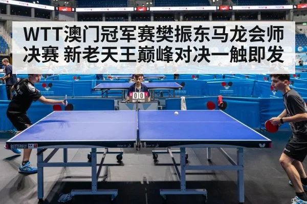 Ma Long table tennis